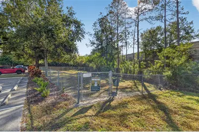 4201 Woodstorks Walk Way #3109, Lutz, FL 33558 - Photo 30