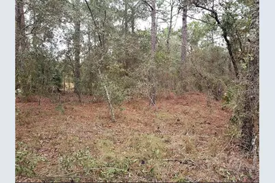 0 Horn Avenue, Brooksville, FL 34613 - Photo 8