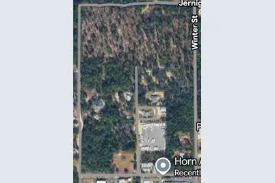 0 Horn Avenue, Brooksville, FL 34613 - Photo 6