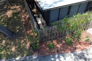 12709 Tall Pine Dr, Tampa, FL 33625 - Photo 40