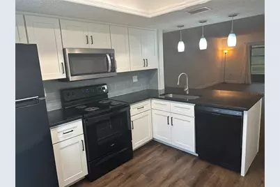 207 Palmetto Court, Oldsmar, FL 34677 - Photo 12