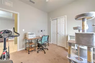 6435 Yellow Buckeye Dr, Riverview, FL 33578 - Photo 18