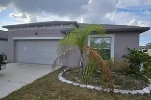 16621 Sunburst Lake St, Wimauma, FL 33598 - Photo 1