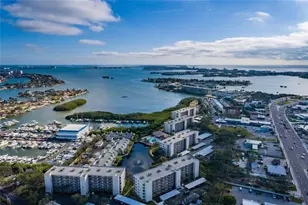 1320 Pasadena Ave S, South Pasadena, FL 33707 - Photo 16