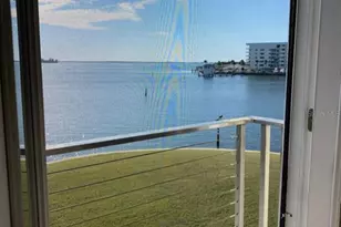 433 S Paula Dr, Dunedin, FL 34698 - Photo 34