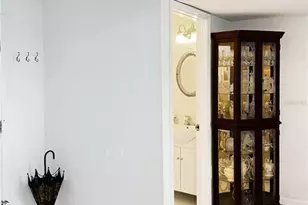 433 S Paula Dr, Dunedin, FL 34698 - Photo 22