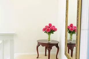 433 S Paula Dr, Dunedin, FL 34698 - Photo 24