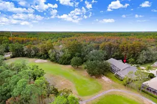 16105 Craigend Pl, Odessa, FL 33556 - Photo 48