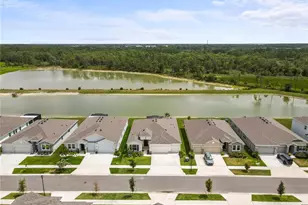 33700 Hamilton Hl Ln, Wesley Chapel, FL 33545 - Photo 64