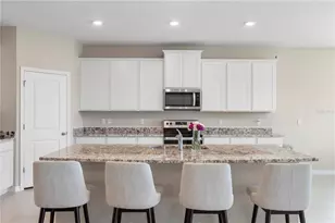 33700 Hamilton Hl Ln, Wesley Chapel, FL 33545 - Photo 14