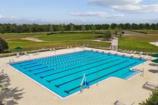 21717 Billowy Jaunt Dr, Land O Lakes, FL 34637 - Photo 62