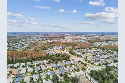 21717 Billowy Jaunt Drive, Land O Lakes, FL 34637 - Photo 50