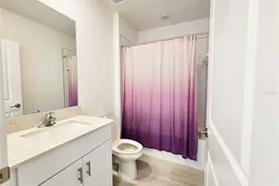 22083 Nebula Wy, Land O Lakes, FL 34637 - Photo 4