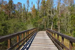 22083 Nebula Wy, Land O Lakes, FL 34637 - Photo 24