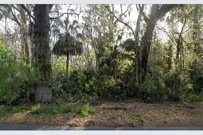 Sunnyside Drive, Leesburg, FL 34748 - Photo 2