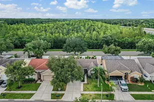 4208 Pine Isle Dr, Lutz, FL 33558 - Photo 36