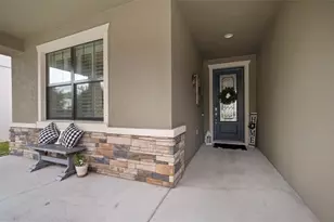 11223 Paddock Manor Ave, Riverview, FL 33569 - Photo 4