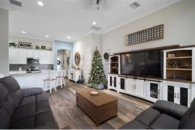 11223 Paddock Manor Avenue, Riverview, FL 33569 - Photo 16