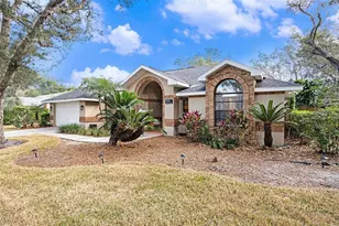 1619 Palace Ct, Valrico, FL 33594 - Photo 1