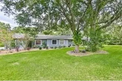 820 Crenshaw Lake Road, Lutz, FL 33548 - Photo 4