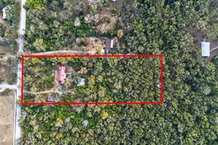 9602 Taylor Rd, Seffner, FL 33584 - Photo 2