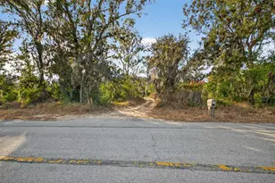 9602 Taylor Rd, Seffner, FL 33584 - Photo 8