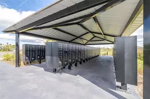 3847 Sunny Spring Street, Plant City, FL 33565 - Photo 62