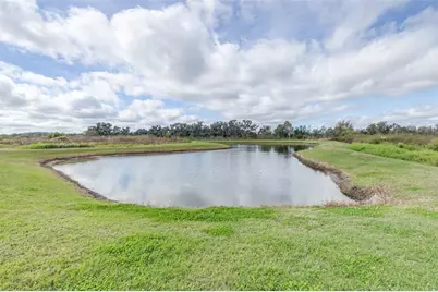 3847 Sunny Spring Street, Plant City, FL 33565 - Photo 54