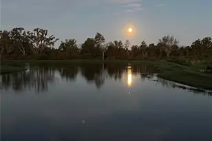 3847 Sunny Spring Street, Plant City, FL 33565 - Photo 4