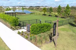 3847 Sunny Spring Street, Plant City, FL 33565 - Photo 70