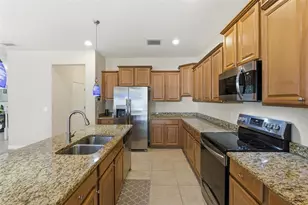 13801 Chalk Hill Pl, Riverview, FL 33579 - Photo 12