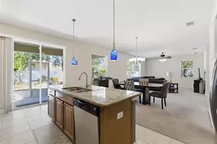 13801 Chalk Hill Pl, Riverview, FL 33579 - Photo 14