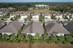 13534 Circa Crossing Dr, Lithia, FL 33547 - Photo 12