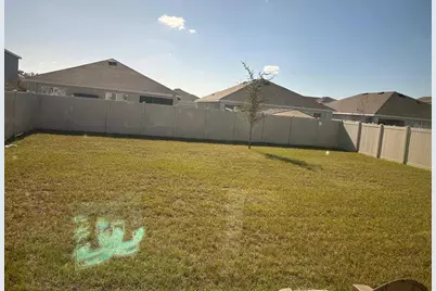 33518 Elm Hill Branch, Wesley Chapel, FL 33545 - Photo 4