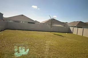 33518 Elm Hl Br, Wesley Chapel, FL 33545 - Photo 4