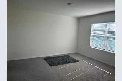 33518 Elm Hill Branch, Wesley Chapel, FL 33545 - Photo 12
