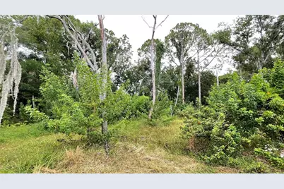 9461 W Norfolk Street, Tampa, FL 33615 - Photo 6