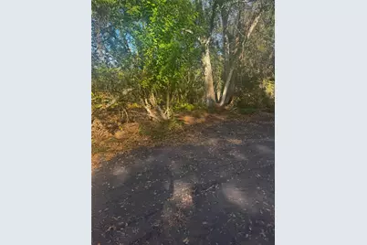 11-20 Anno, Tampa, FL 33625 - Photo 4
