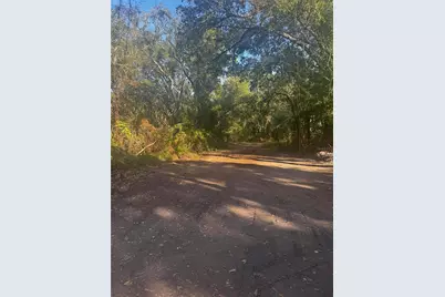 11-20 Anno, Tampa, FL 33625 - Photo 2