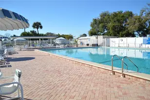 278 Pelican Dr N, Oldsmar, FL 34677 - Photo 28