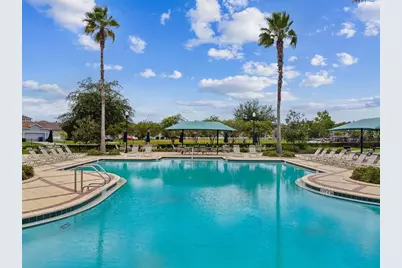 21987 Emory Oak Place, Land O Lakes, FL 34637 - Photo 38