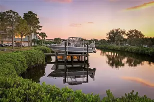 1197 Flying Fish Ln, Tarpon Springs, FL 34689 - Photo 60