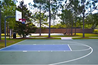 1692 Nature View Drive, Lutz, FL 33558 - Photo 52