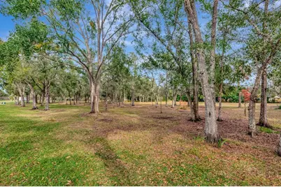 19519 Morden Blush Drive, Lutz, FL 33558 - Photo 50