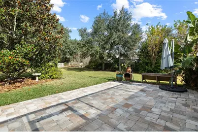 17425 New Cross Circle, Lithia, FL 33547 - Photo 48