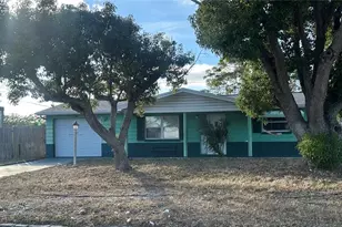 3505 Latimer St, New Port Richey, FL 34652 - Photo 2