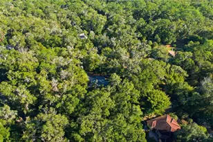 7999 SW 187th Ave, Dunnellon, FL 34432 - Photo 38