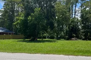 0 Moon Lake Circle, New Port Richey, FL 34654 - Photo 1