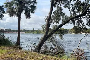 7218 E Bank Dr, Tampa, FL 33617 - Photo 24