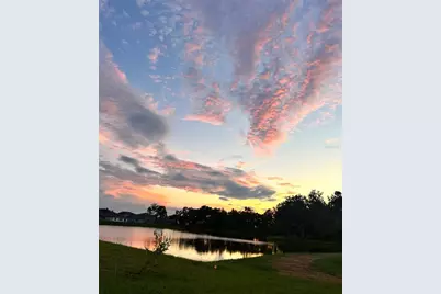 6557 Bar S Bar Trail, Zephyrhills, FL 33541 - Photo 58